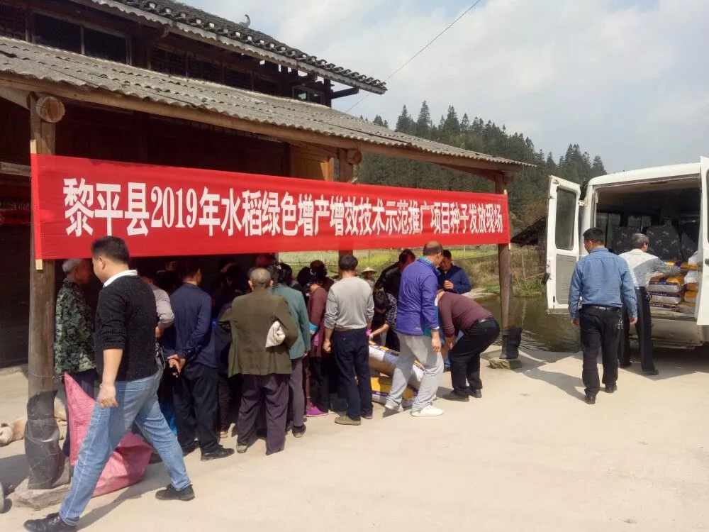 脫貧攻堅(jiān)春季攻勢(shì) | 黎平德順：千畝優(yōu)質(zhì)稻掀起春季攻勢(shì)熱潮